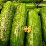 Salar los pepinos para la ensalada con antelación: el secreto olvidado para que queden perfectamente crujientes salar-los-pepinos-para-la-ensalada-con-antelacion-el-secreto.jpg